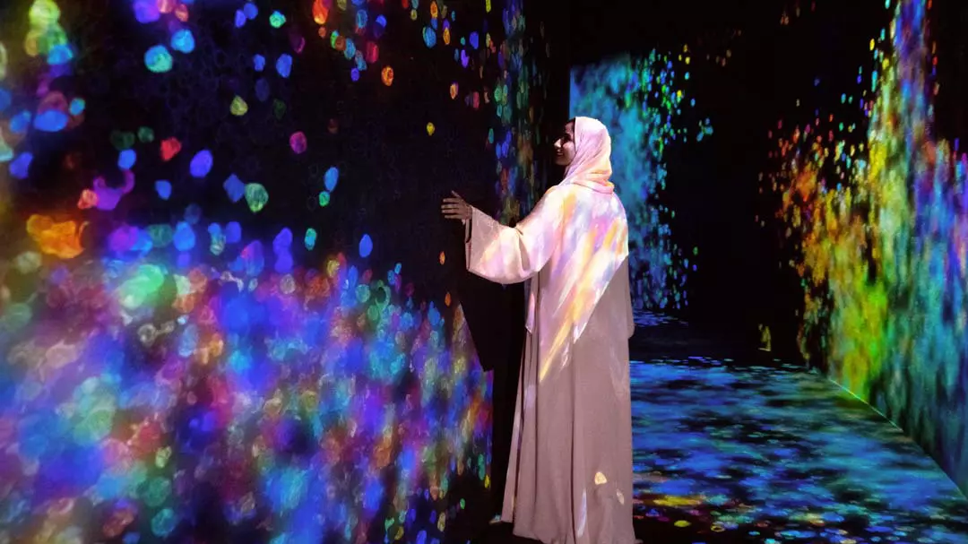 TeamLab Phenomena - Photo 2