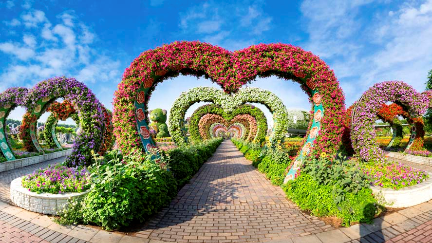 Dubai Miracle Garden - Photo 24