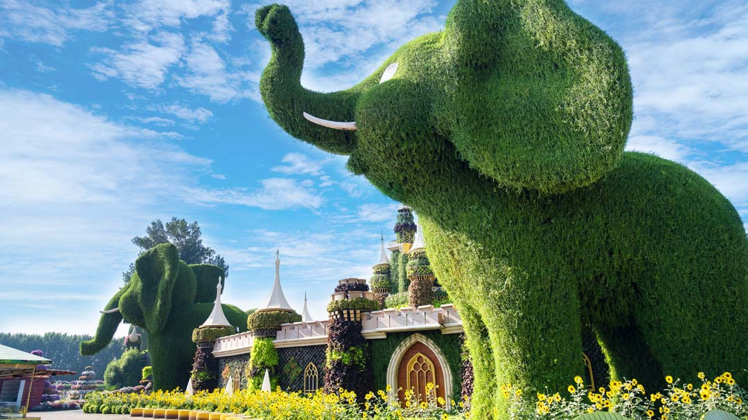 Dubai Miracle Garden - Photo 10