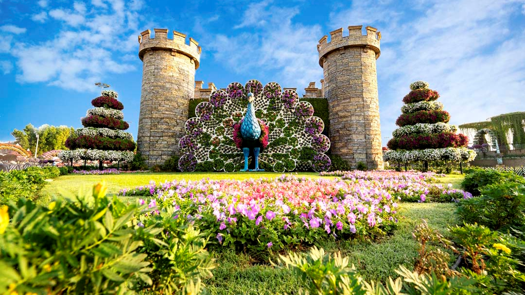 Dubai Miracle Garden - Photo 11