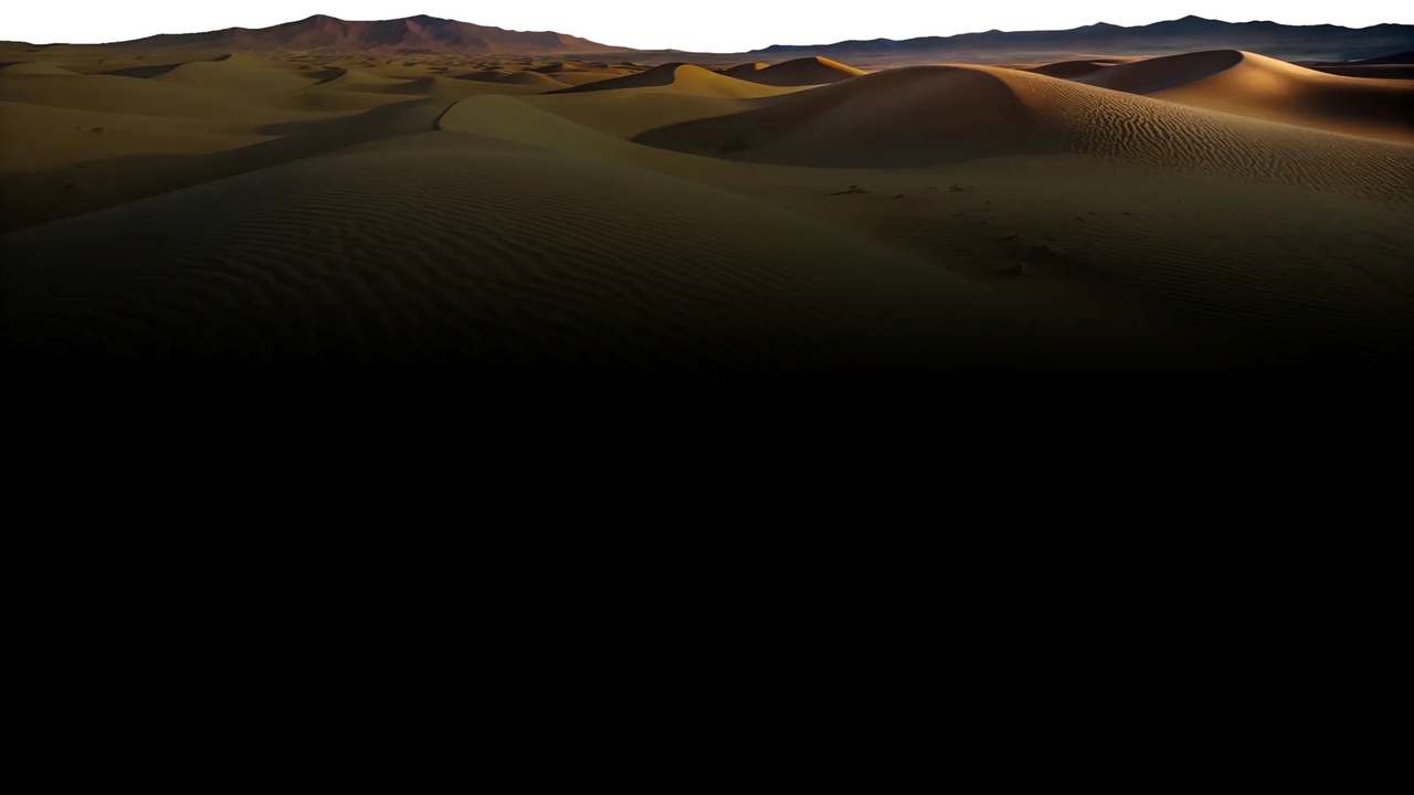 Desert Safari in Dubai + Noble Safari Camp - Photo 11