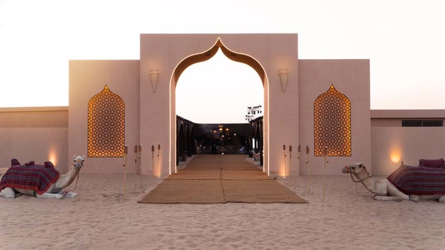 Desert Safari in Dubai + Noble Safari Camp