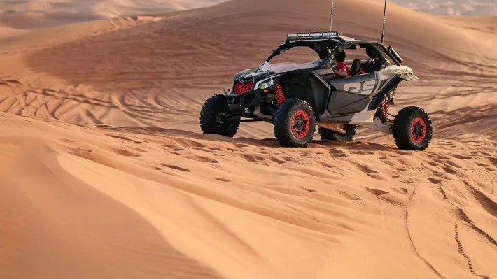 Desert Safari in Dubai + Noble Safari Camp - Photo 48