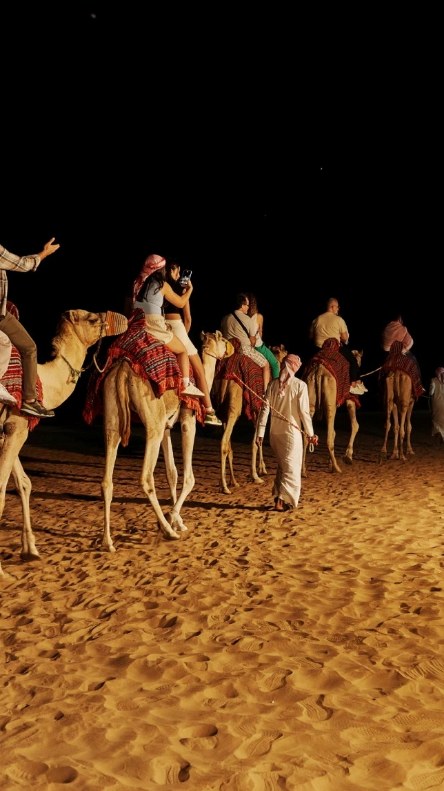 Desert Safari in Dubai + Noble Safari Camp - Photo 29