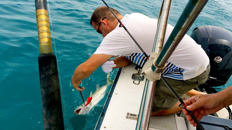 Рыбалка в Дохе