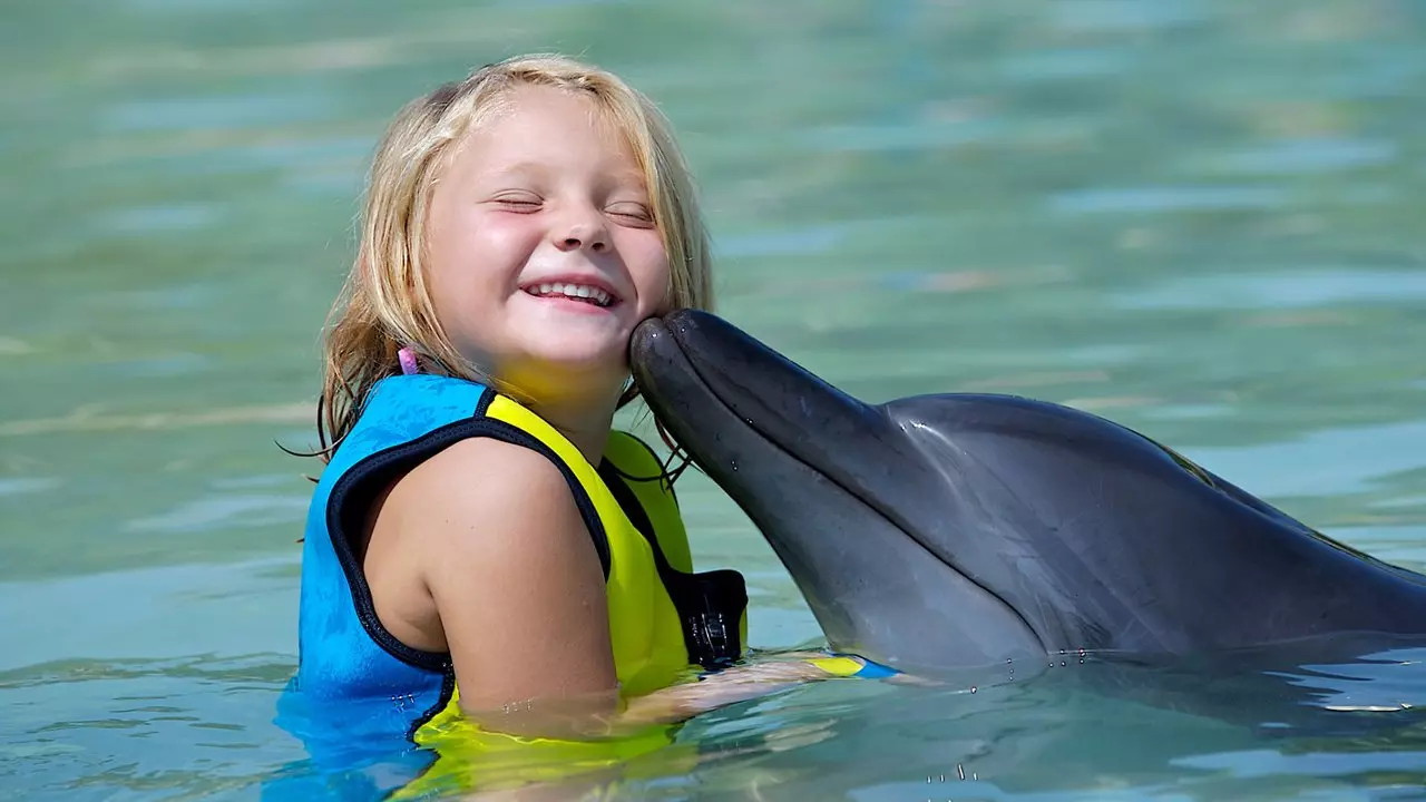 Плавание с дельфинами в Atlas Village (Dolphin Bay)