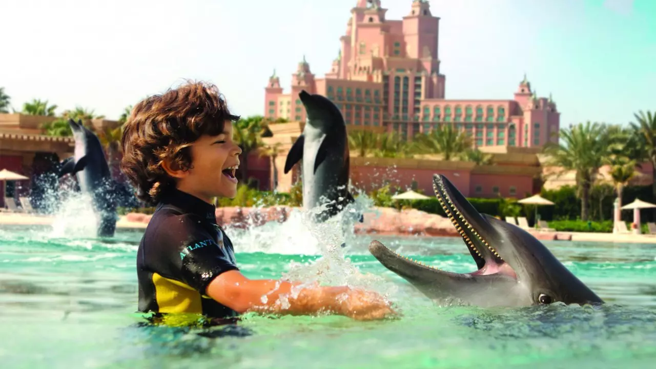 Плавание с дельфинами в Atlas Village (Dolphin Bay)