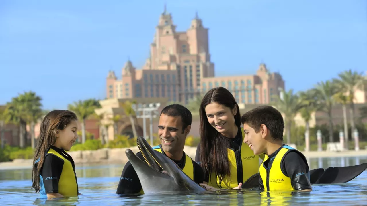 Плавание с дельфинами в Atlas Village (Dolphin Bay)