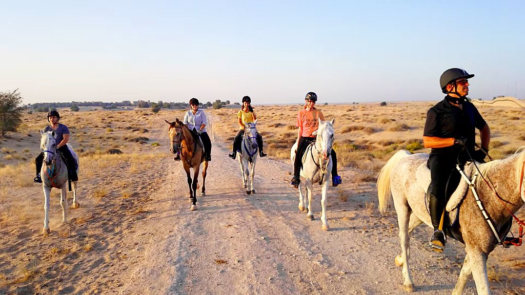 Катание на лошадях в Дубае
