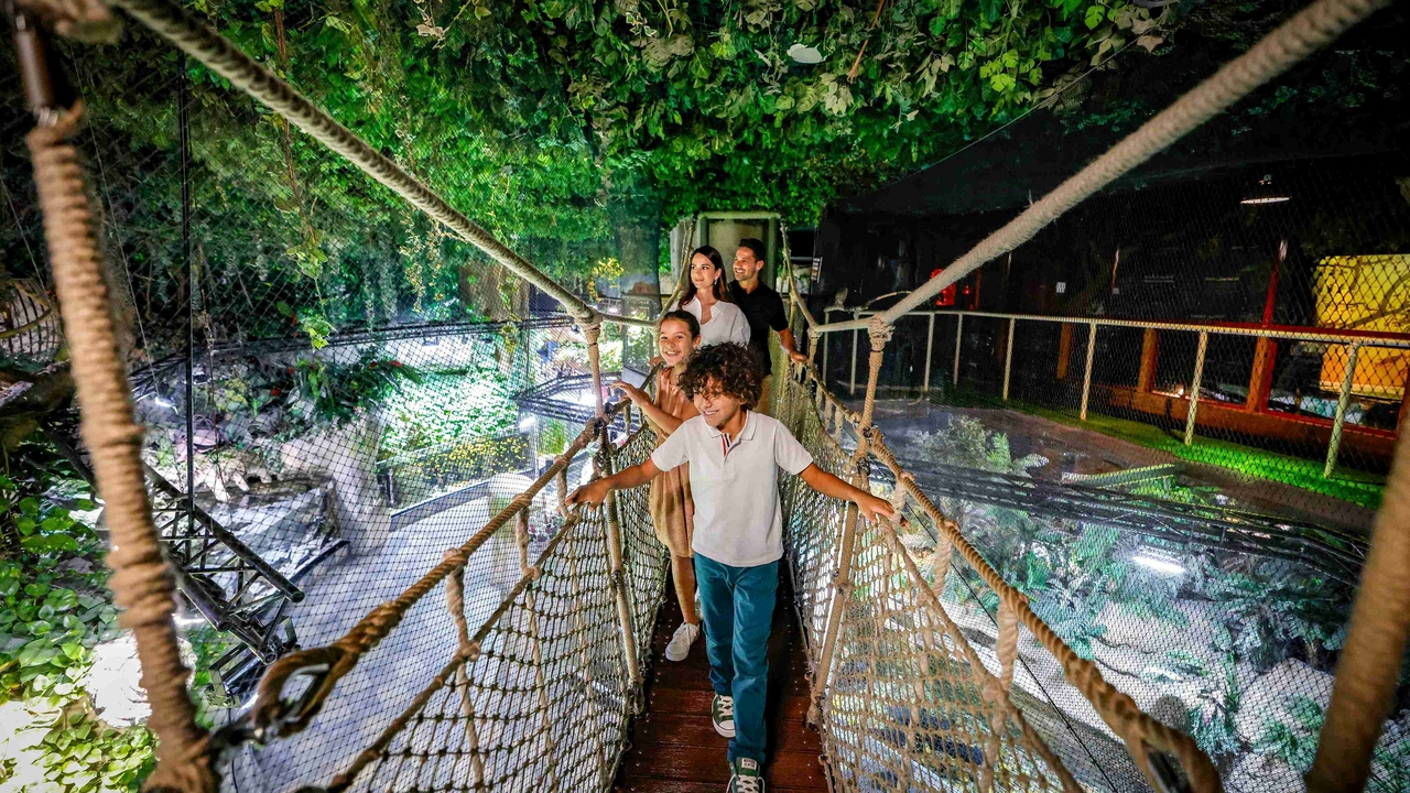 Аквариум и подводный зоопарк в Дубай Молле