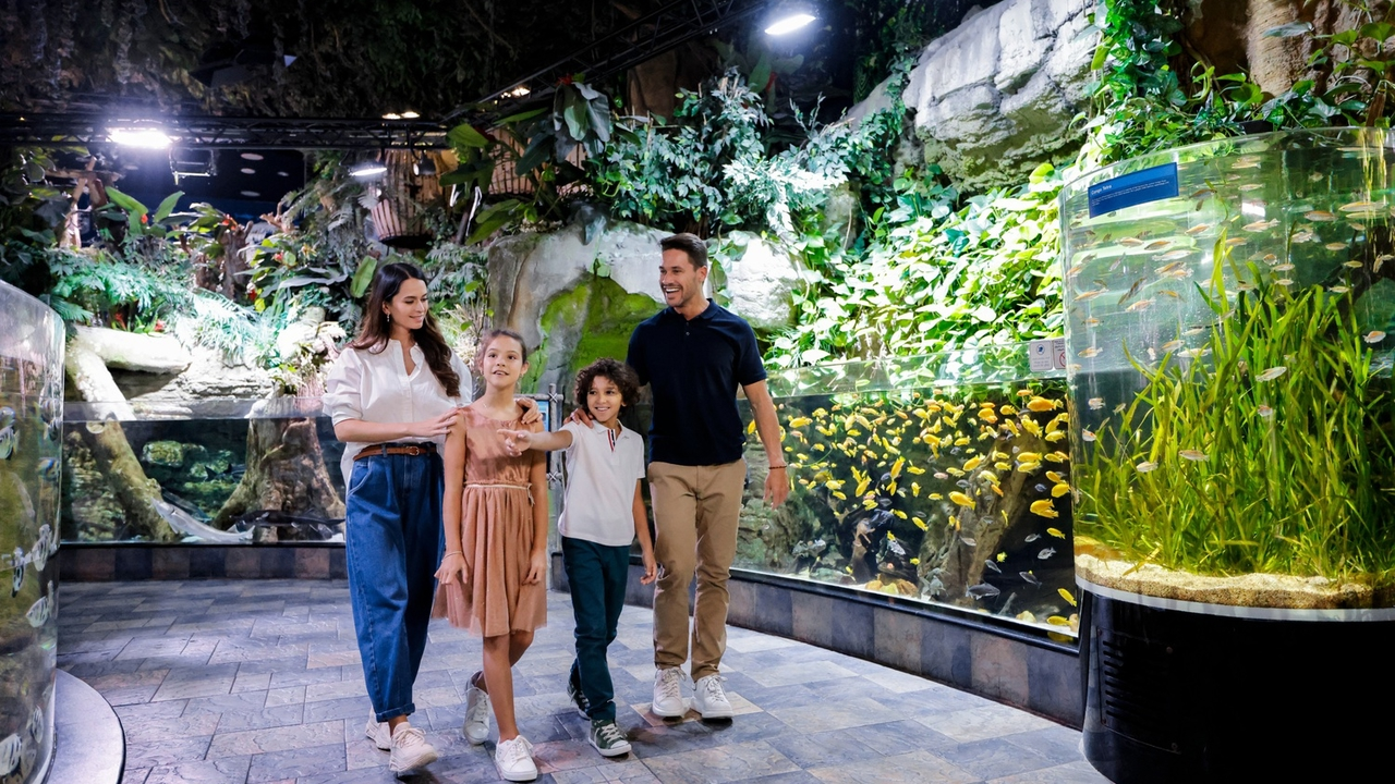 Аквариум и подводный зоопарк в Дубай Молле