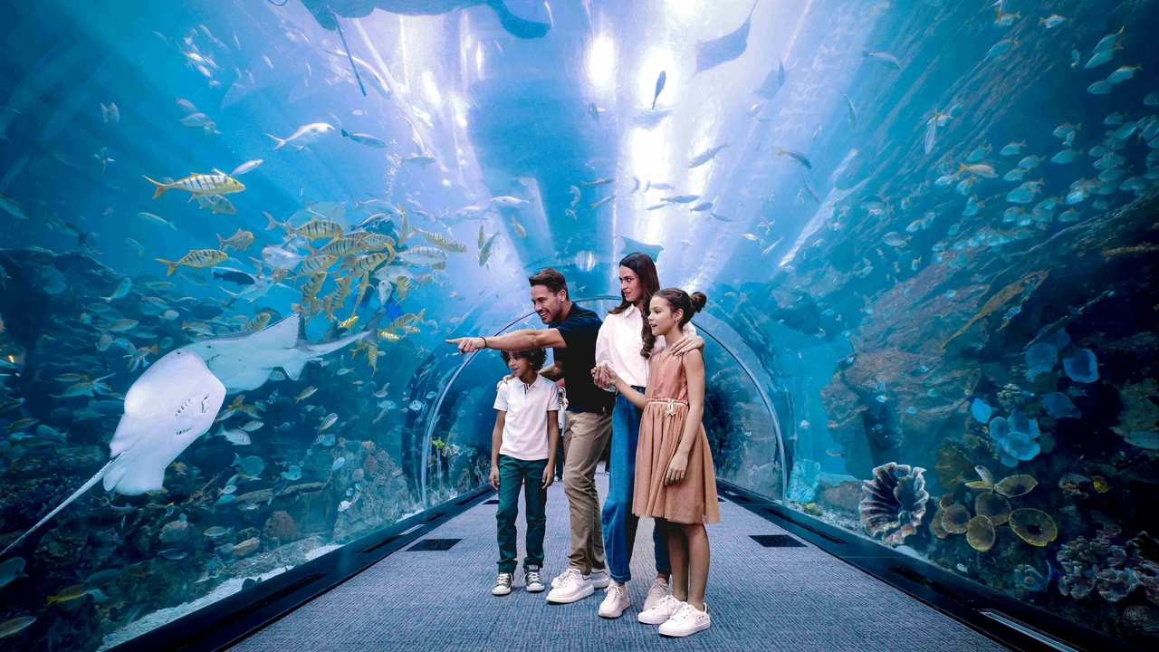 Аквариум и подводный зоопарк в Дубай Молле