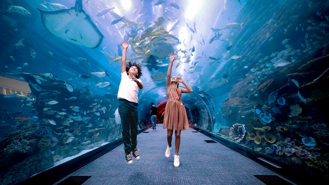 Аквариум и подводный зоопарк в Дубай Молле