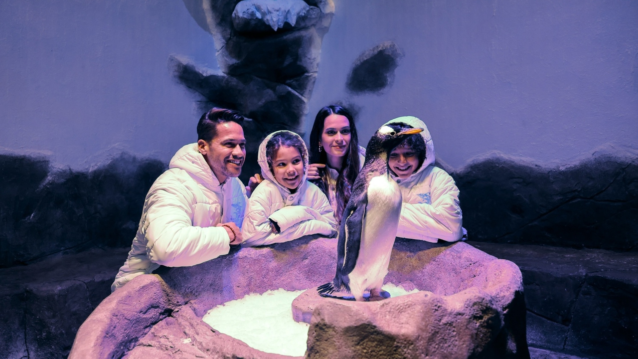 Аквариум и подводный зоопарк в Дубай Молле