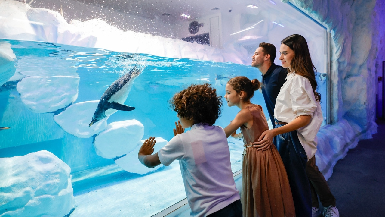 Аквариум и подводный зоопарк в Дубай Молле