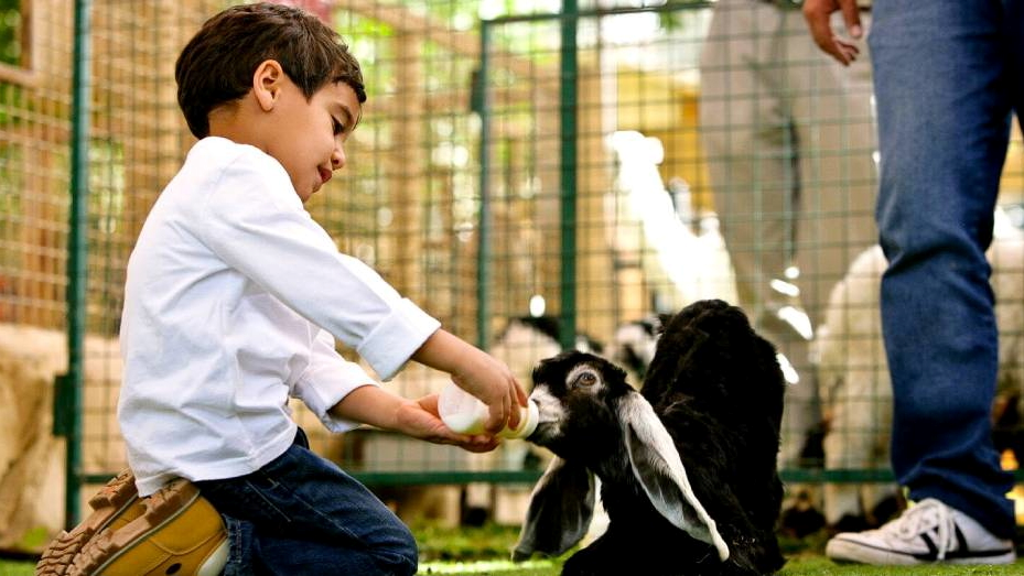 Зоопарк в Абу-Даби Emirates Park Zoo