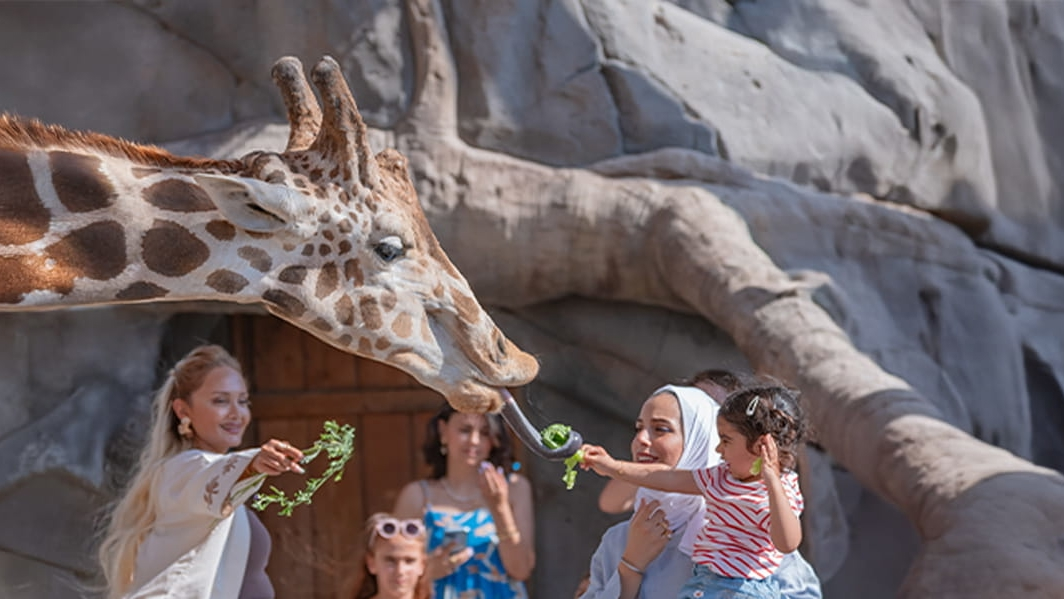 Зоопарк в Абу-Даби Emirates Park Zoo