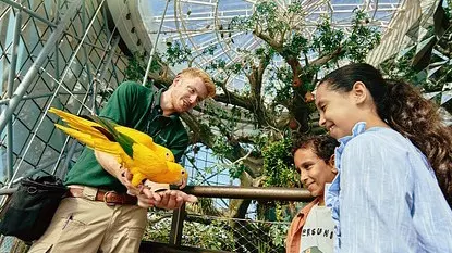 Экскурсия в TeamLab Phenomena и Мечеть Шейха Зайда