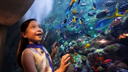 Океанариум The Lost Chambers