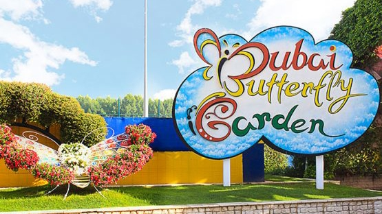 Сад бабочек Dubai Butterfly Garden