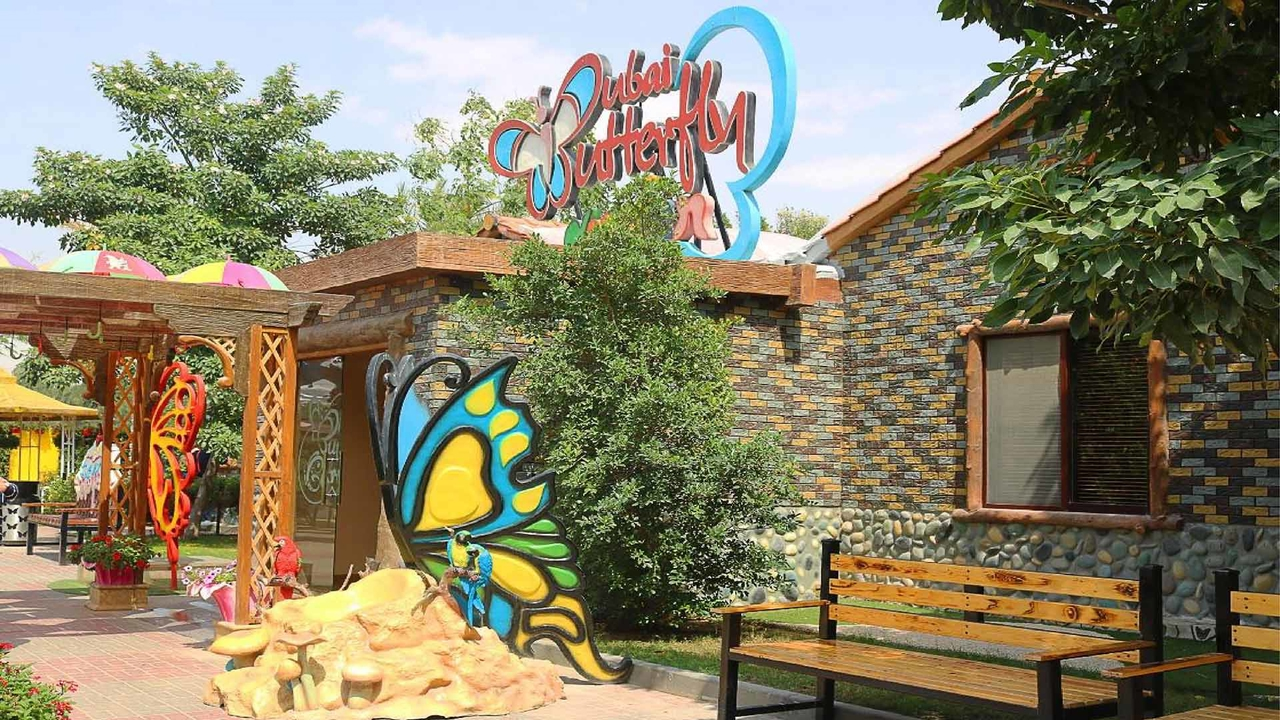 Сад бабочек Dubai Butterfly Garden