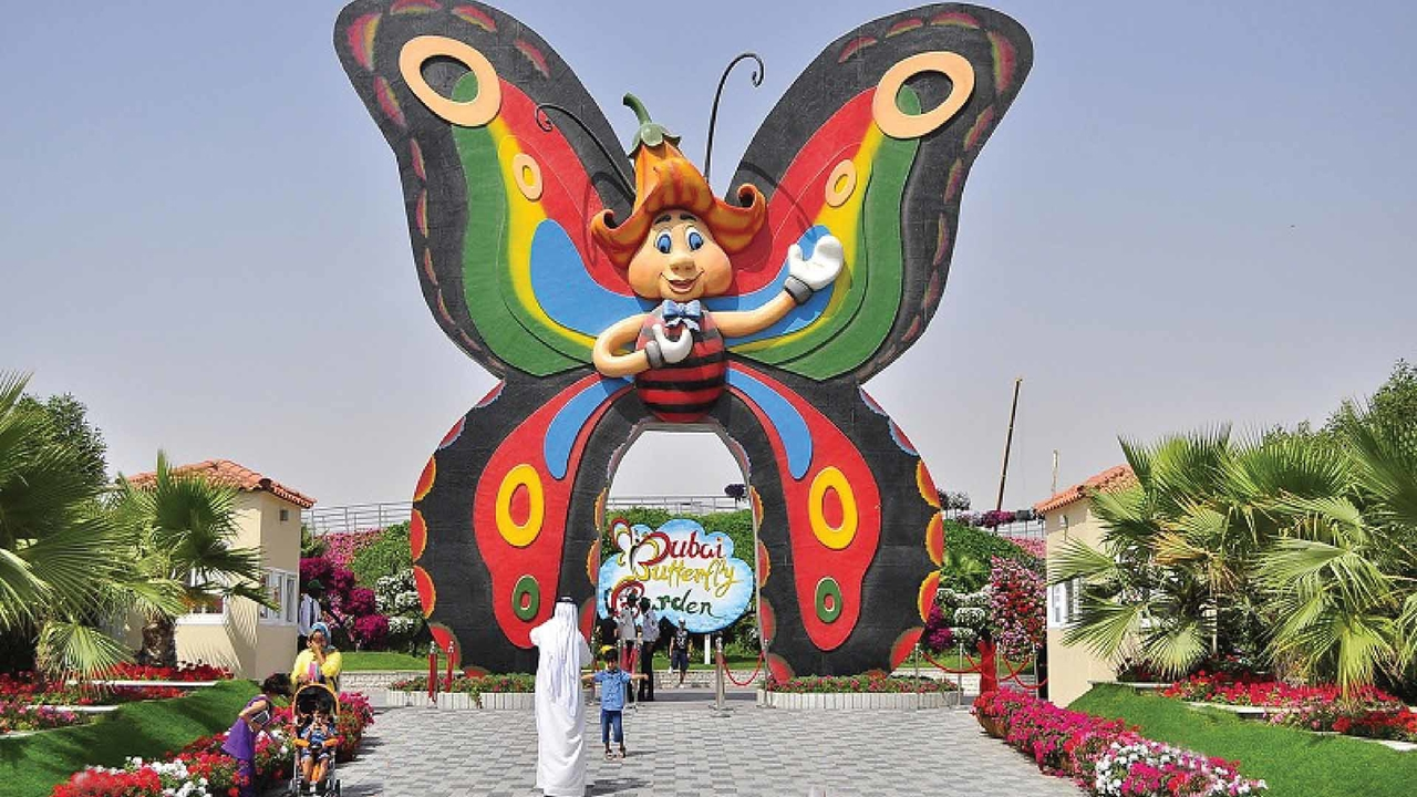 Сад бабочек Dubai Butterfly Garden