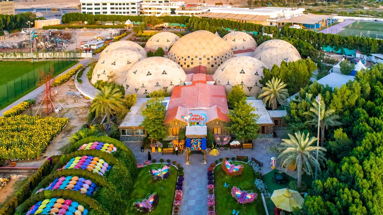 Сад бабочек Dubai Butterfly Garden