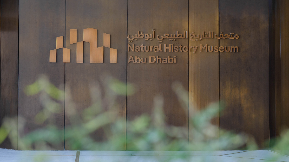 Natural History Museum, Abu-Dhabi - Photo 8