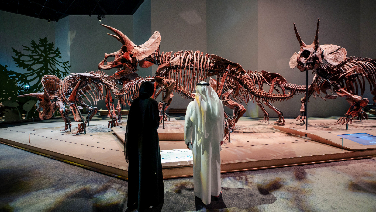 Natural History Museum, Abu-Dhabi - Photo 10