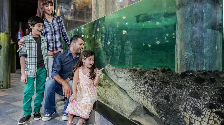 Аквариум и подводный зоопарк в Дубай Молле