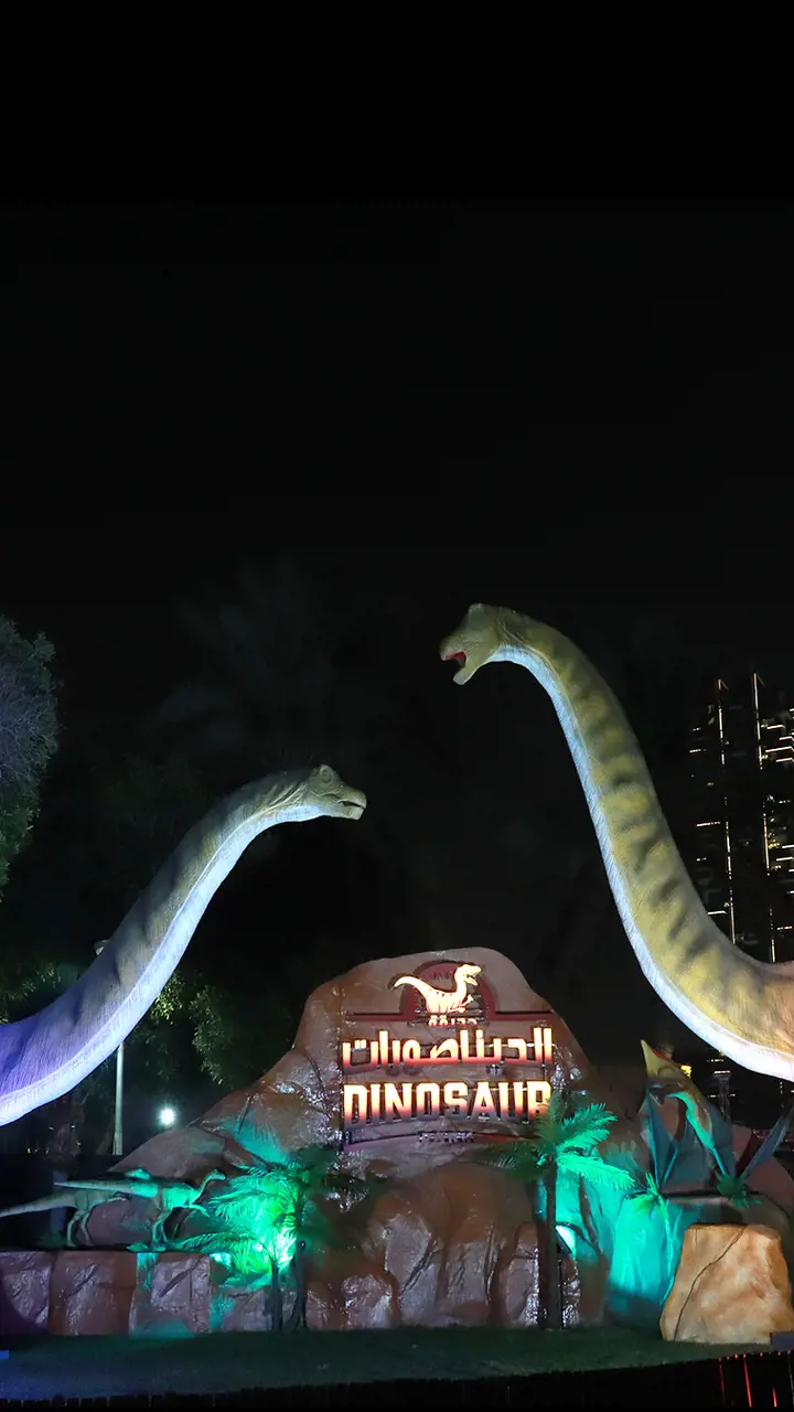 Dubai Garden Glow - Photo 6