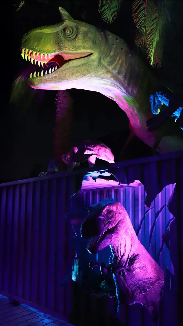 Dubai Garden Glow - Photo 9