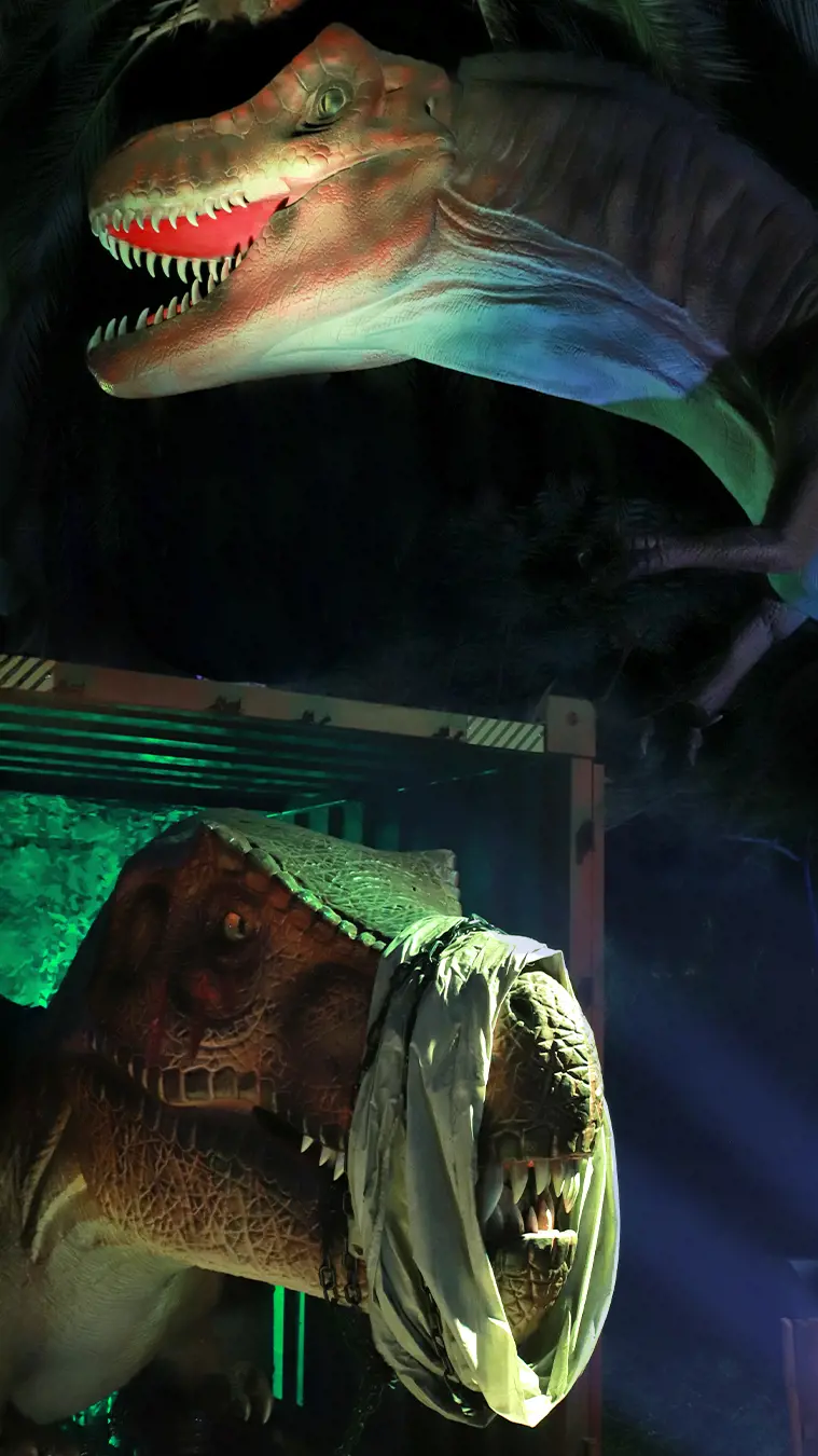 Dubai Garden Glow - Photo 41