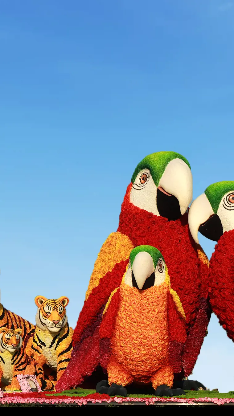 Dubai Garden Glow - Photo 43