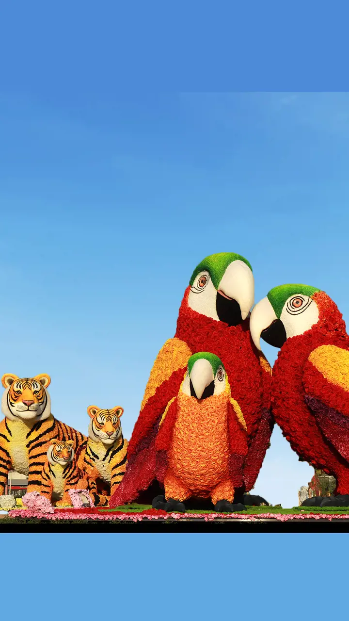 Dubai Garden Glow - Photo 14