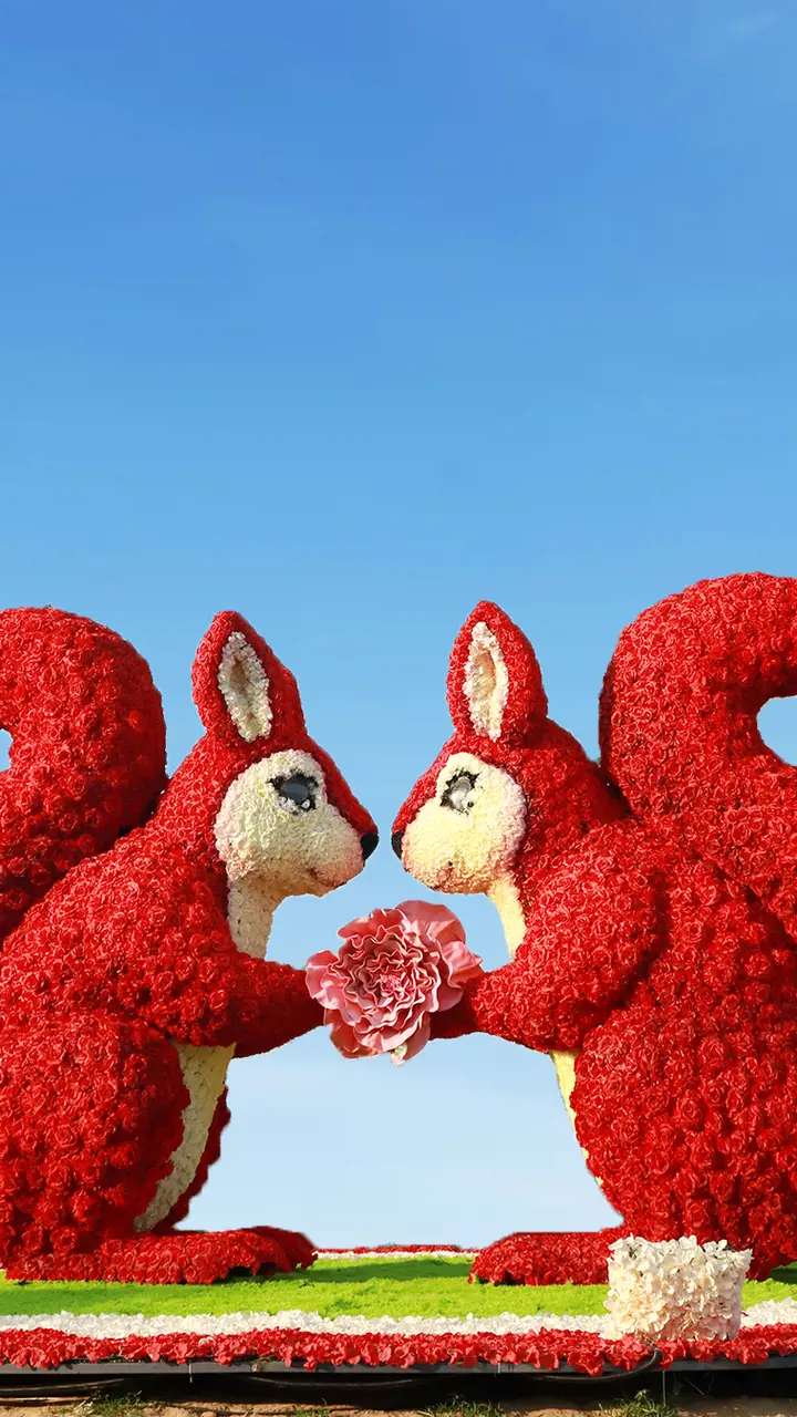 Dubai Garden Glow - Photo 15