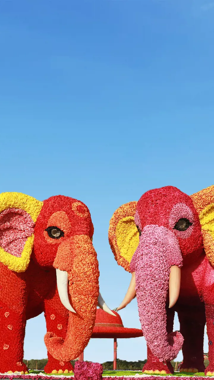 Dubai Garden Glow - Photo 16