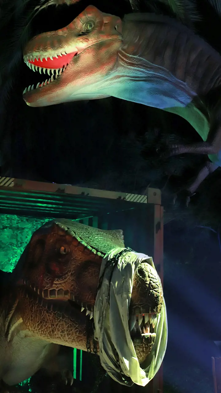 Dubai Garden Glow - Photo 20