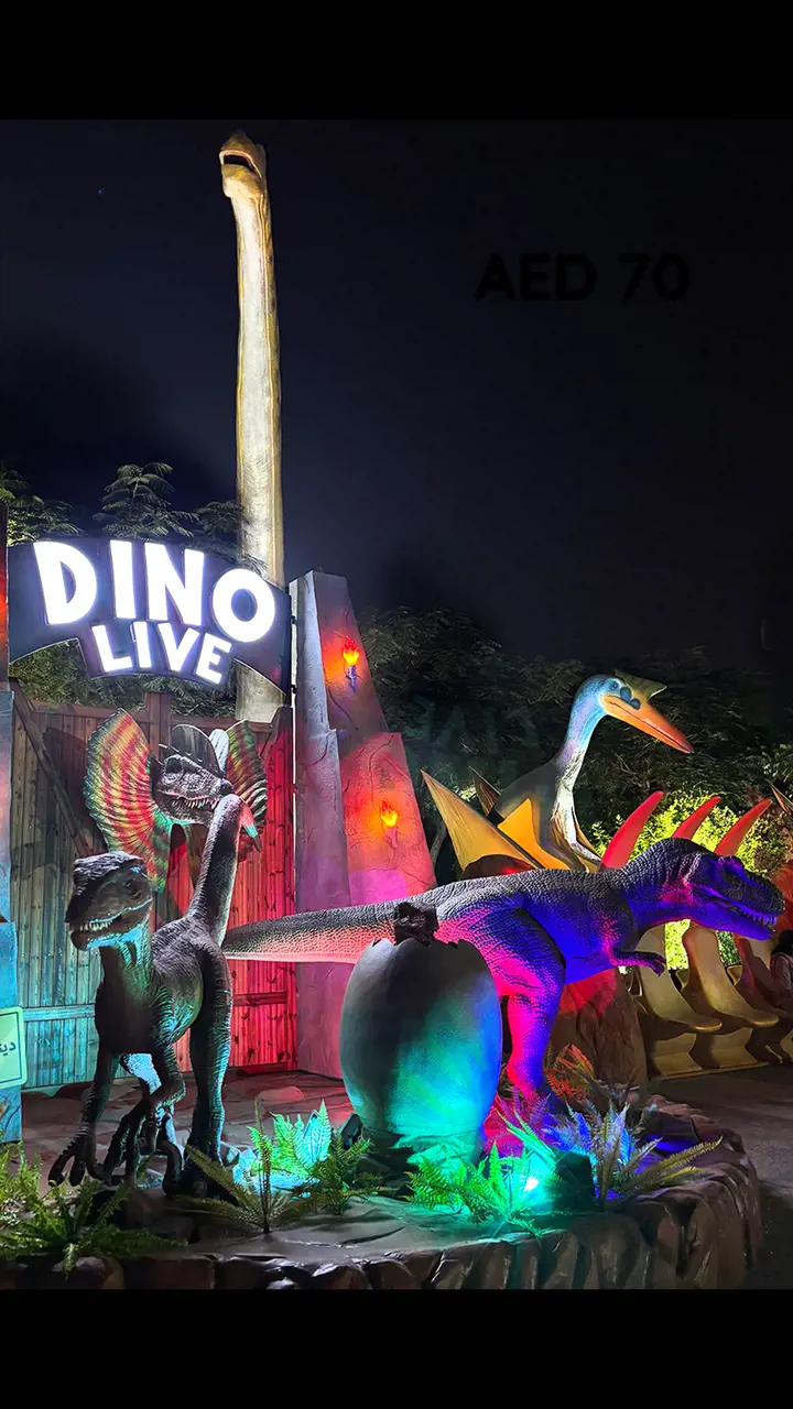 Dubai Garden Glow - Photo 21