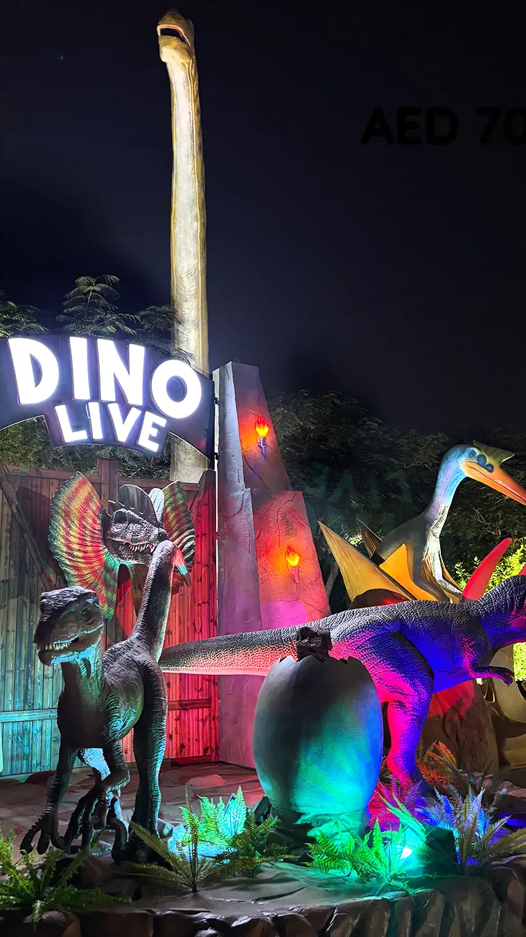 Dubai Garden Glow - Photo 54