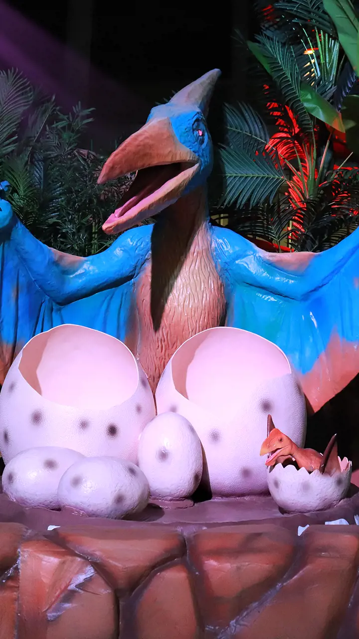 Dubai Garden Glow - Photo 24