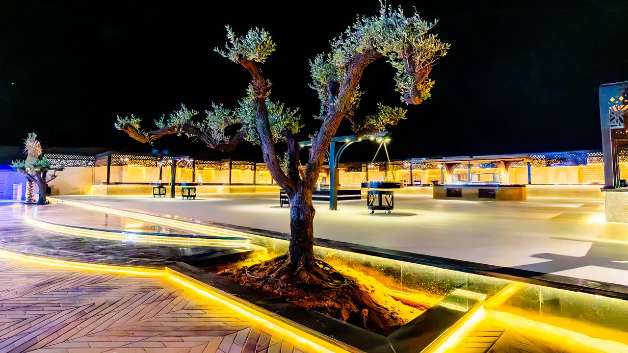 Desert Safari + Arabian Heritage Camp - Photo 38