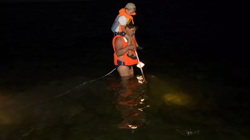 Охота на крабов