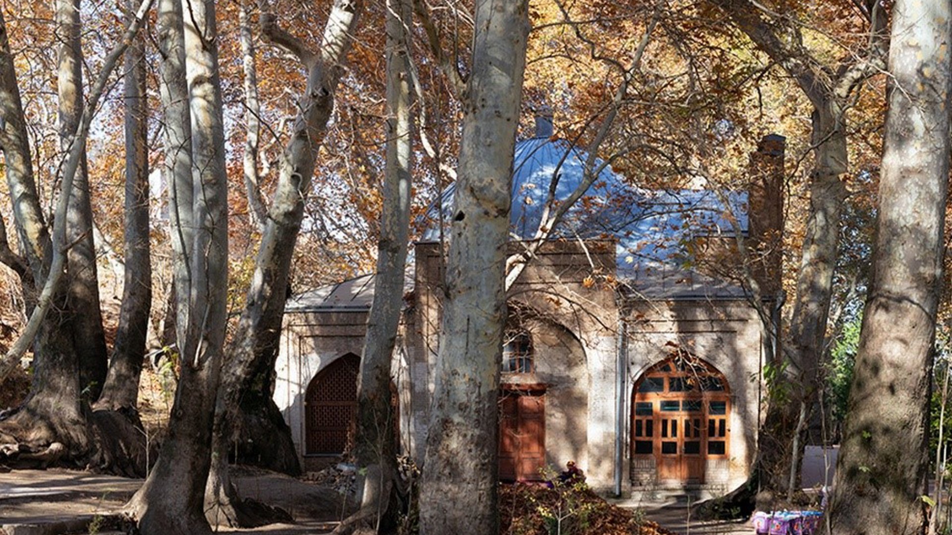 Photo 4