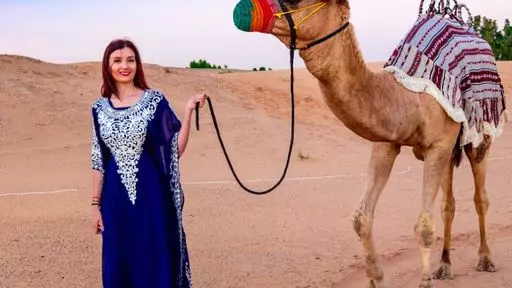 Desert Safari in Dubai + Noble Safari Camp - Photo 35