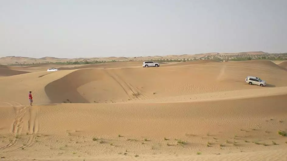 Morning Desert Safari Dubai - Photo 11