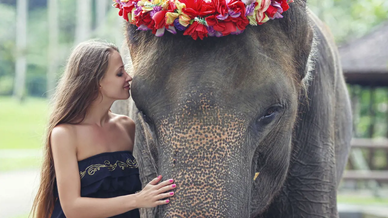 Mason Elephant Park Bali by Mason Adventures (Formerly known as Elephant Safari Park) – Bild 2