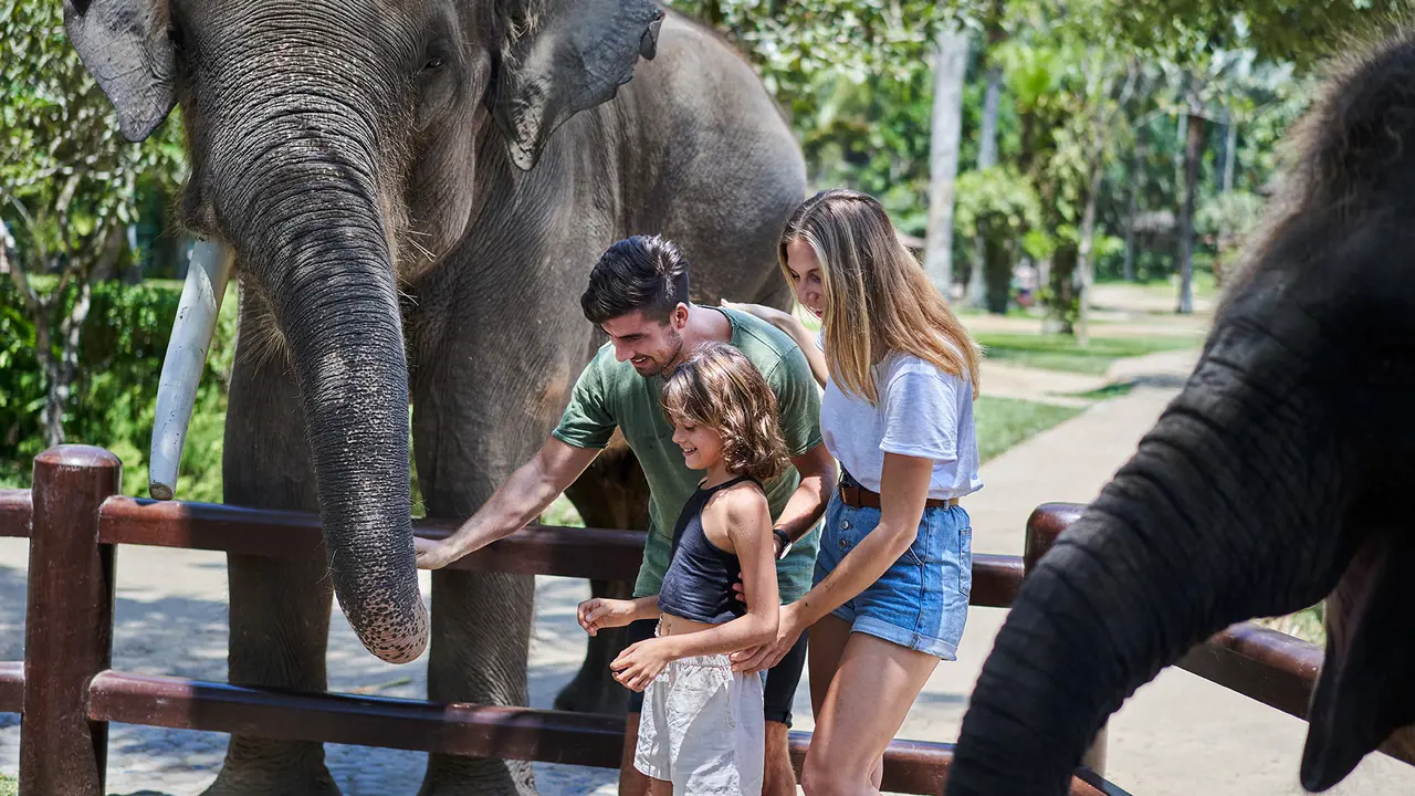 Mason Elephant Park Bali by Mason Adventures (Formerly known as Elephant Safari Park) – Bild 4