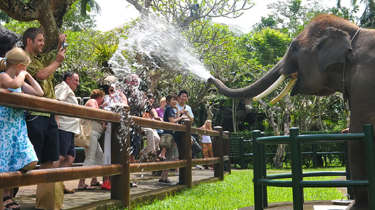 Mason Elephant Park Bali by Mason Adventures (Formerly known as Elephant Safari Park) – Bild 6