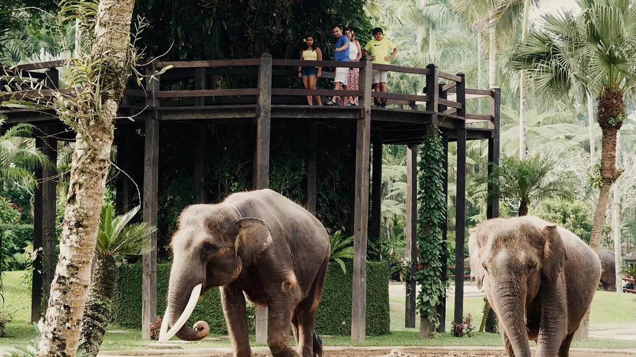 Mason Elephant Park Bali by Mason Adventures (Formerly known as Elephant Safari Park) – Bild 8